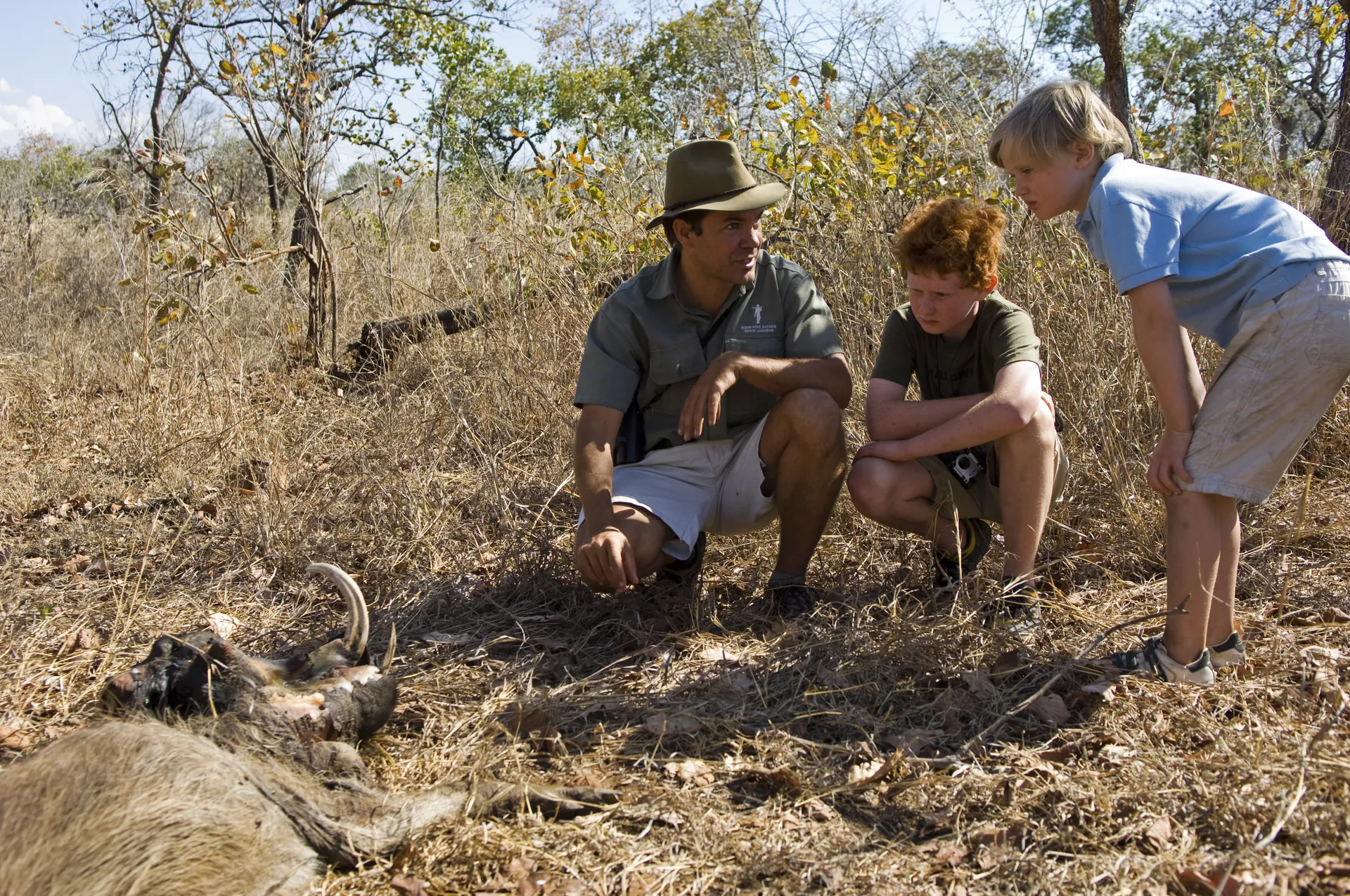 Family and Group Tours